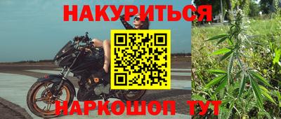 каннабис Новозыбков