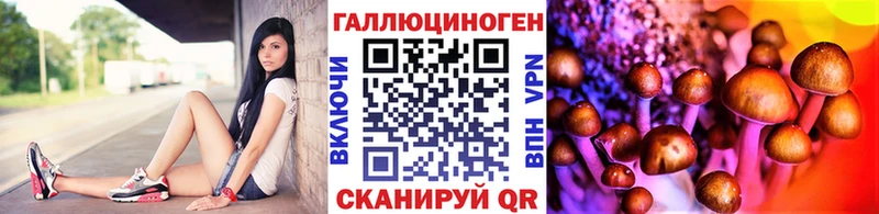Галлюциногенные грибы MAGIC MUSHROOMS KRAKEN ссылки Ногинск даркнет сайт
