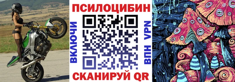 Галлюциногенные грибы Magic Shrooms Ногинск