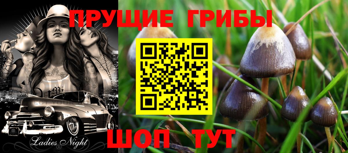 Ногинск  Галлюциногенные грибы прущие грибы  Вход с VPN  Галлюциногенные грибы мицелий 